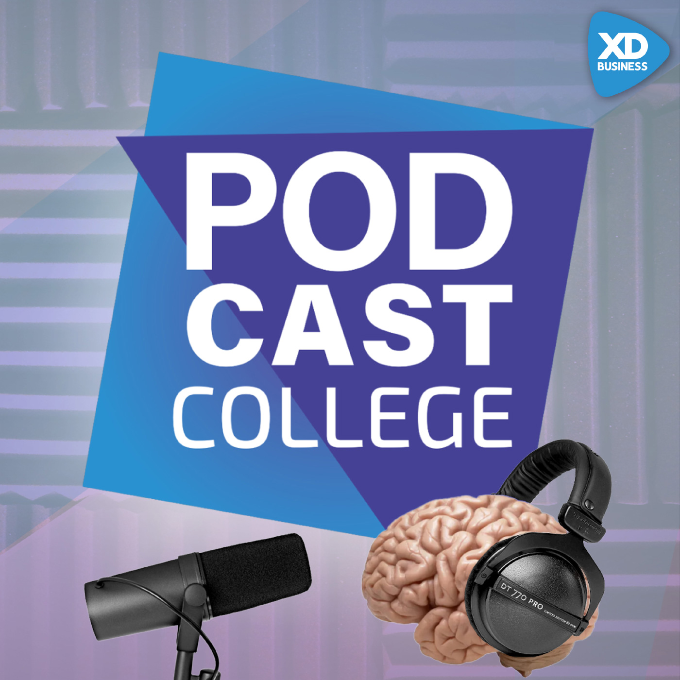 Podcast Image